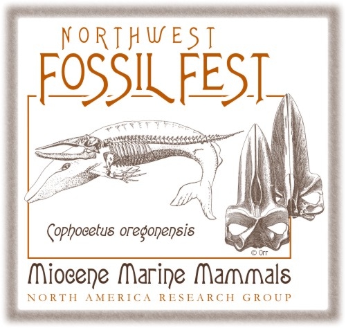 Northwest Fossil Fest, August 13th